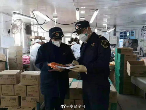 宁河区腌渍菜“抵港直装”模式提速出口 2小时直达码头作业区